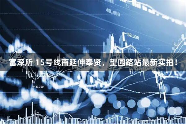 富深所 15号线南延伸奉贤，望园路站最新实拍！