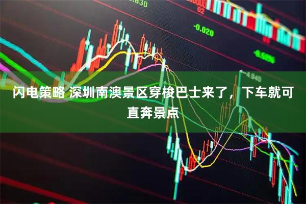 闪电策略 深圳南澳景区穿梭巴士来了，下车就可直奔景点